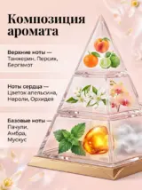 Диффузор для дома с палочками стойкий Nerolli 85 мл