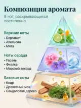 Диффузор для дома с палочками стойкий парфюмерный СПА 50 мл