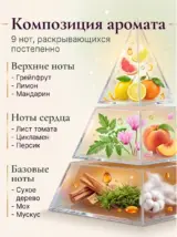 Диффузор для дома с палочками Французский сад 50 мл